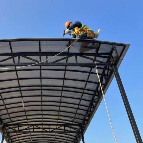 Gemini_Generated_Image_cf5joicf5joicf5j